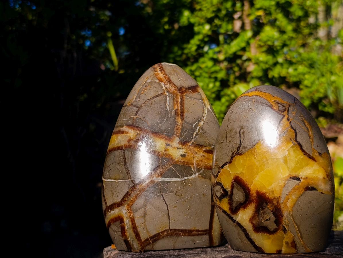 Polished Septerye Standing Display Pieces x 2 From Mahajanga, Madagascar - Toprock Gemstones and Minerals 