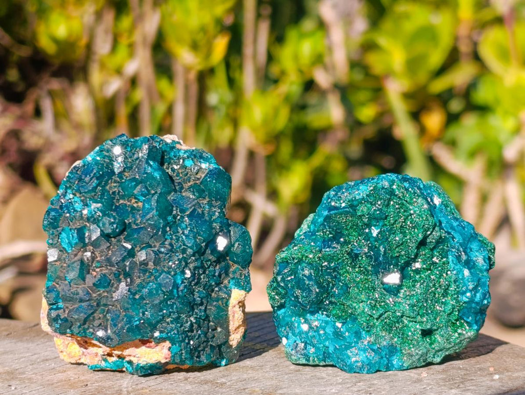 Natural Dioptase on Dolomite Specimens x 6 From Likasi, Congo - Toprock Gemstones and Minerals 