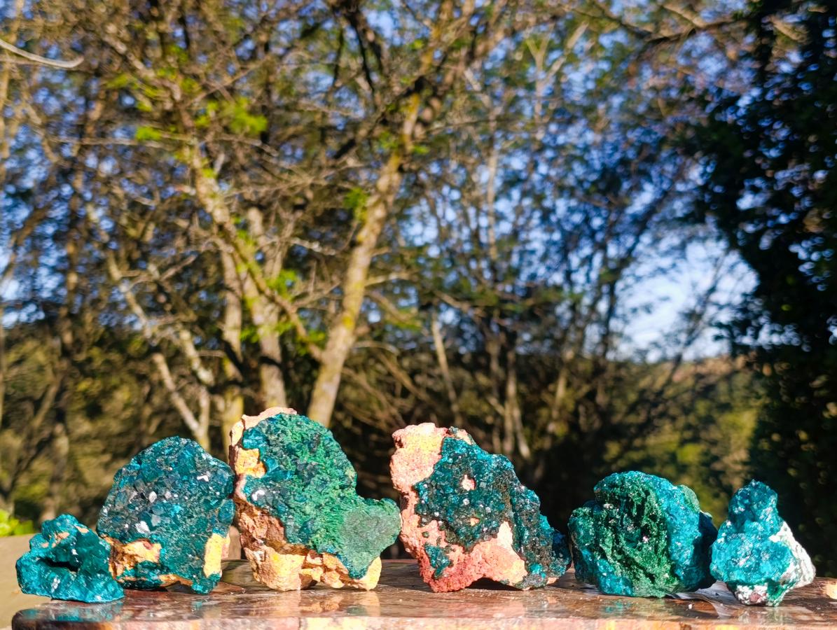 Natural Dioptase on Dolomite Specimens x 6 From Likasi, Congo - Toprock Gemstones and Minerals 
