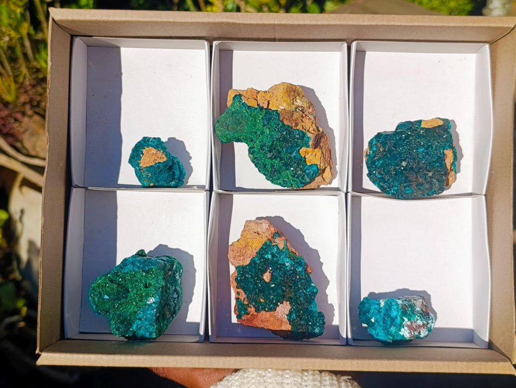 Natural Dioptase on Dolomite Specimens x 6 From Likasi, Congo - Toprock Gemstones and Minerals 