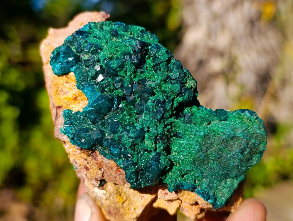 Natural Dioptase on Dolomite Specimens x 6 From Likasi, Congo - Toprock Gemstones and Minerals 