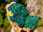 Natural Dioptase on Dolomite Specimens x 6 From Likasi, Congo - Toprock Gemstones and Minerals 