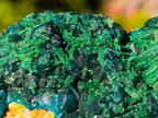 Natural Dioptase on Dolomite Specimens x 6 From Likasi, Congo - Toprock Gemstones and Minerals 
