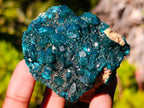 Natural Dioptase on Dolomite Specimens x 6 From Likasi, Congo - Toprock Gemstones and Minerals 