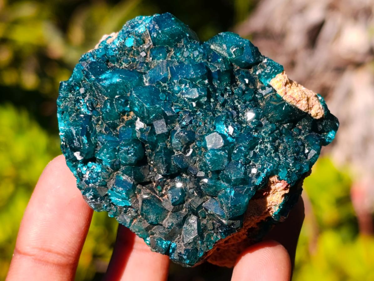 Natural Dioptase on Dolomite Specimens x 6 From Likasi, Congo - Toprock Gemstones and Minerals 