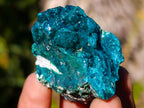 Natural Dioptase on Dolomite Specimens x 6 From Likasi, Congo - Toprock Gemstones and Minerals 
