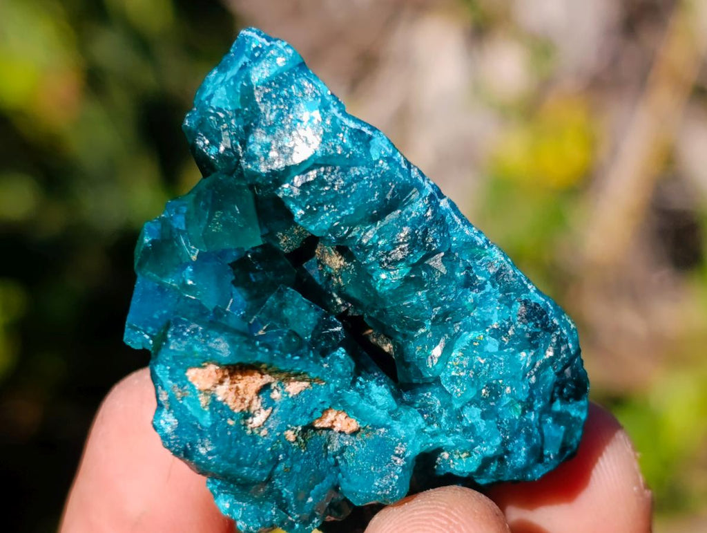 Natural Dioptase on Dolomite Specimens x 6 From Likasi, Congo - Toprock Gemstones and Minerals 
