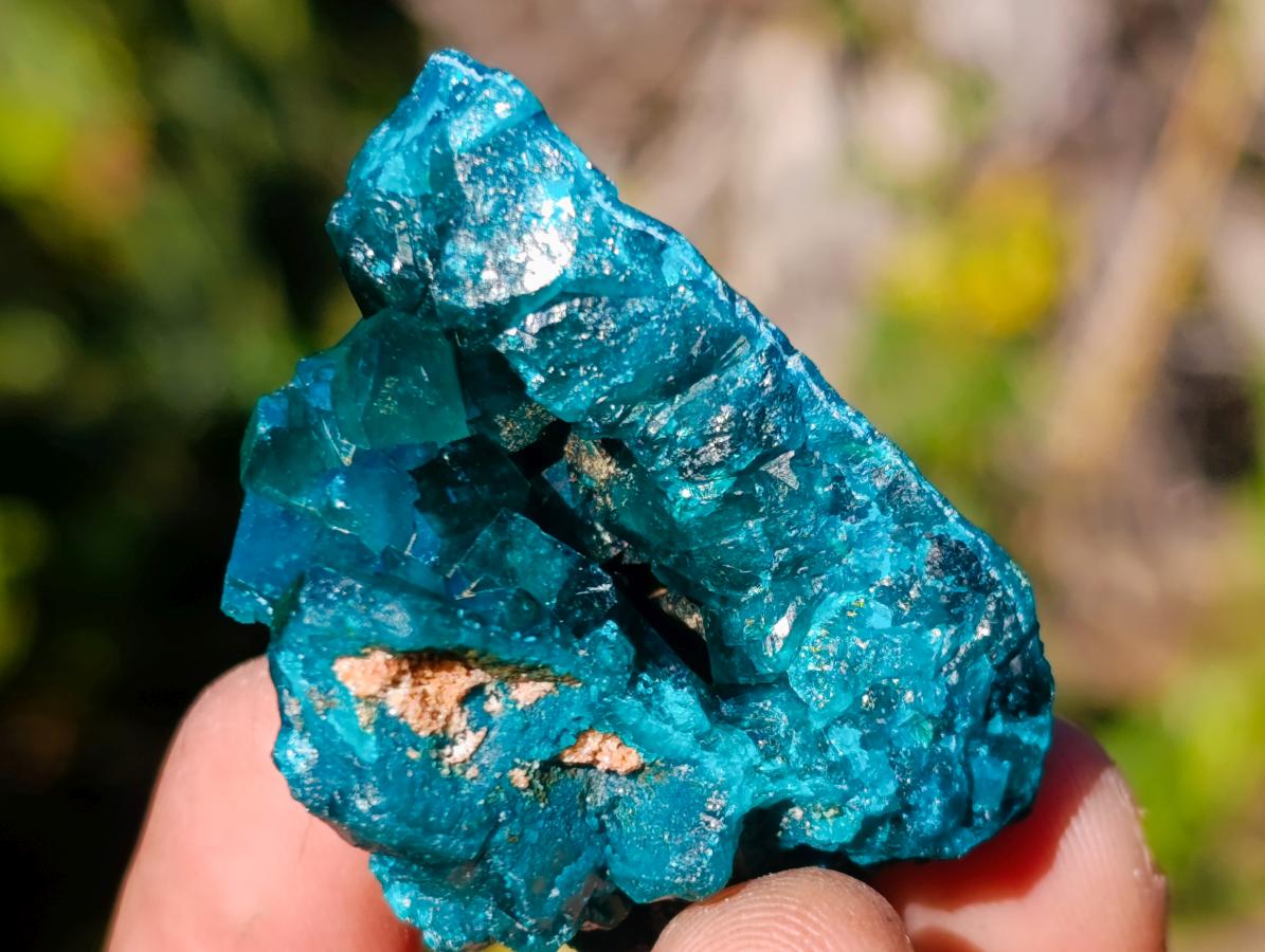Natural Dioptase on Dolomite Specimens x 6 From Likasi, Congo - Toprock Gemstones and Minerals 