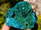 Natural Dioptase on Dolomite Specimens x 6 From Likasi, Congo - Toprock Gemstones and Minerals 
