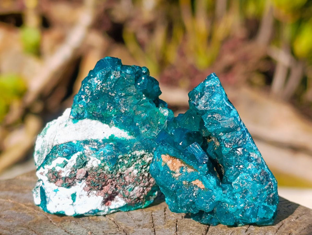 Natural Dioptase on Dolomite Specimens x 6 From Likasi, Congo - Toprock Gemstones and Minerals 