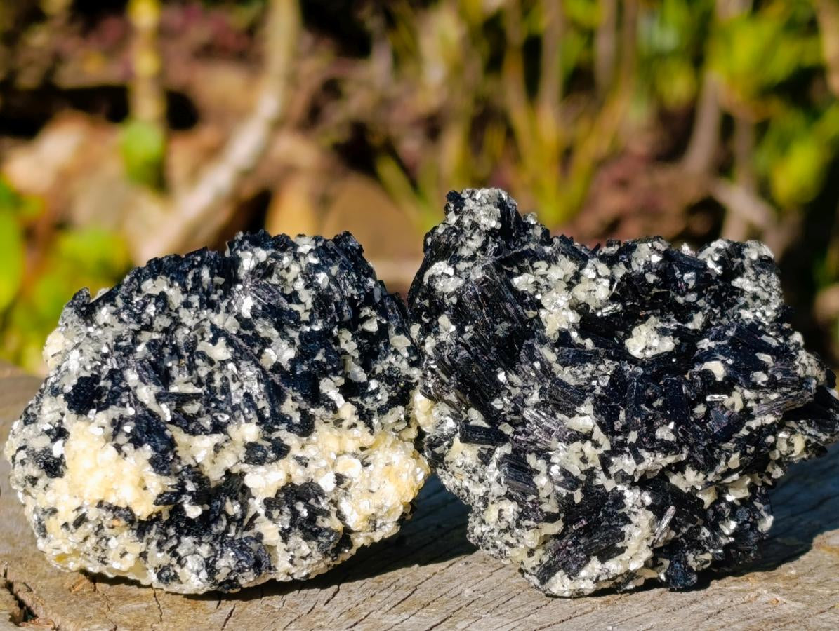 Natural Schorl Black Tourmaline with Muscovite Mica Specimens x 6 From Erongo, Namibia - Toprock Gemstones and Minerals 