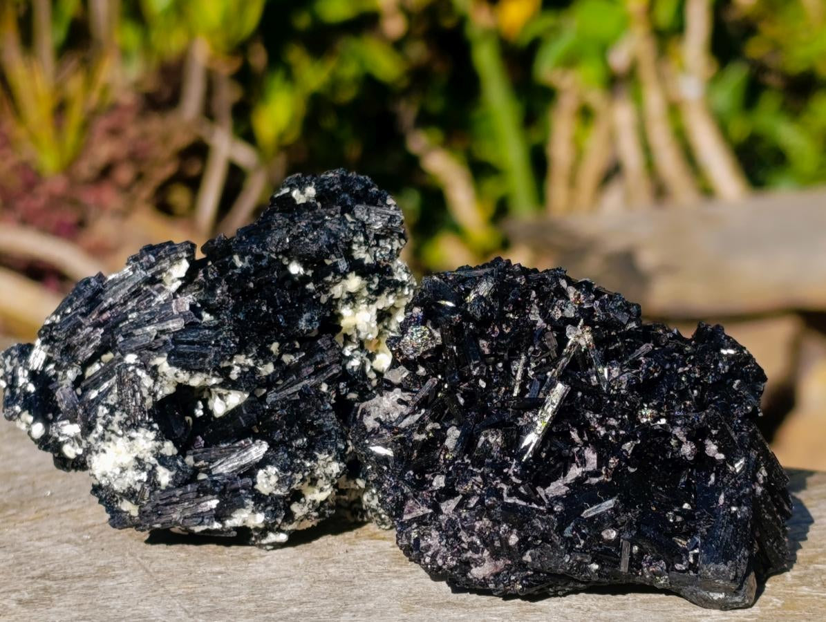 Natural Schorl Black Tourmaline with Muscovite Mica Specimens x 6 From Erongo, Namibia - Toprock Gemstones and Minerals 