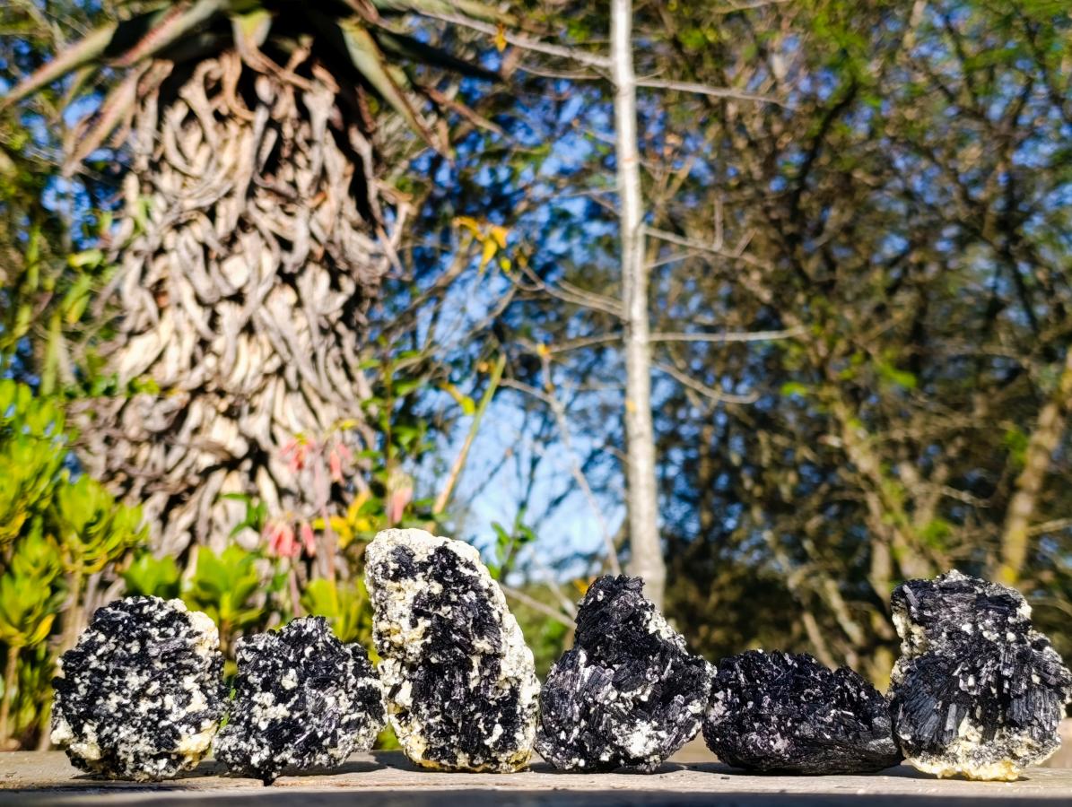 Natural Schorl Black Tourmaline with Muscovite Mica Specimens x 6 From Erongo, Namibia - Toprock Gemstones and Minerals 