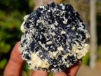 Natural Schorl Black Tourmaline with Muscovite Mica Specimens x 6 From Erongo, Namibia - Toprock Gemstones and Minerals 