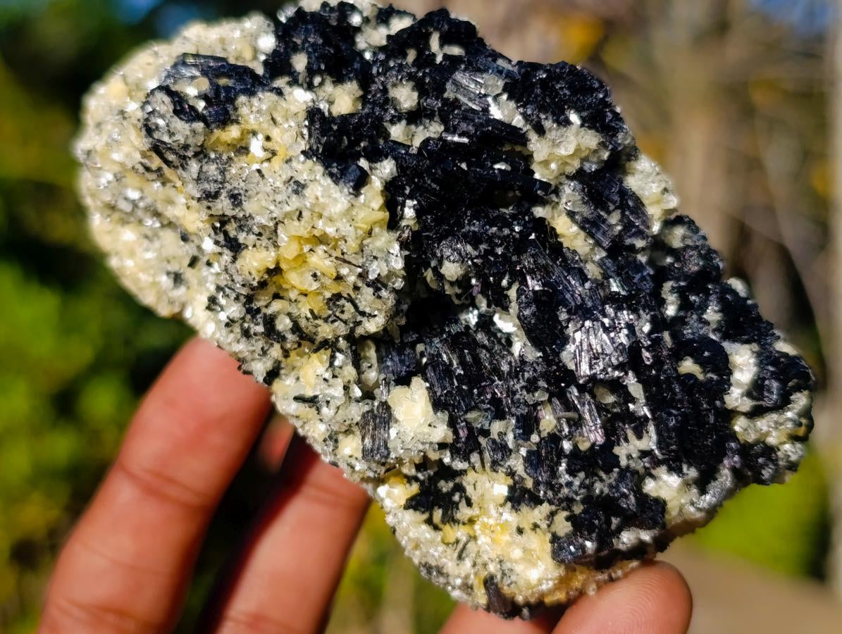 Natural Schorl Black Tourmaline with Muscovite Mica Specimens x 6 From Erongo, Namibia - Toprock Gemstones and Minerals 