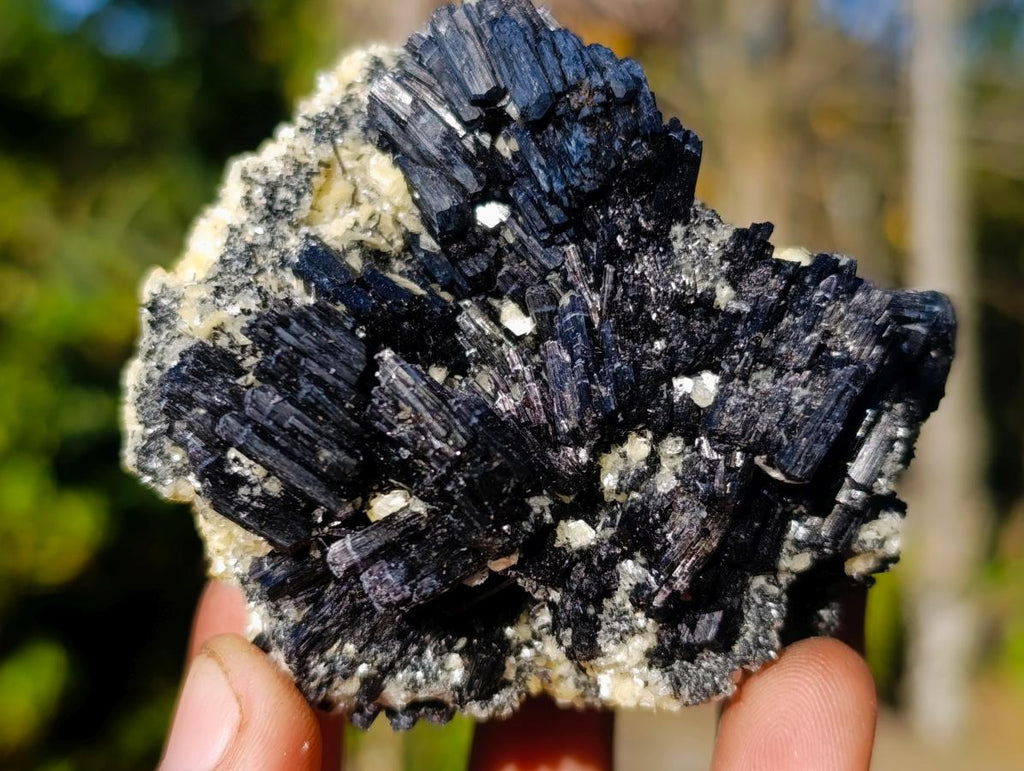 Natural Schorl Black Tourmaline with Muscovite Mica Specimens x 6 From Erongo, Namibia - Toprock Gemstones and Minerals 
