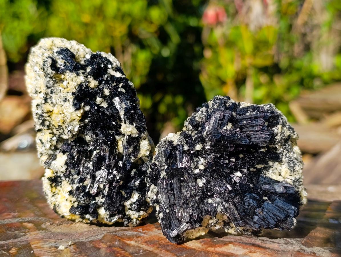 Natural Schorl Black Tourmaline with Muscovite Mica Specimens x 6 From Erongo, Namibia - Toprock Gemstones and Minerals 