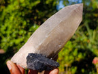 Natural Multi Mineral Specimens x 6 From Southern Africa - Toprock Gemstones and Minerals 
