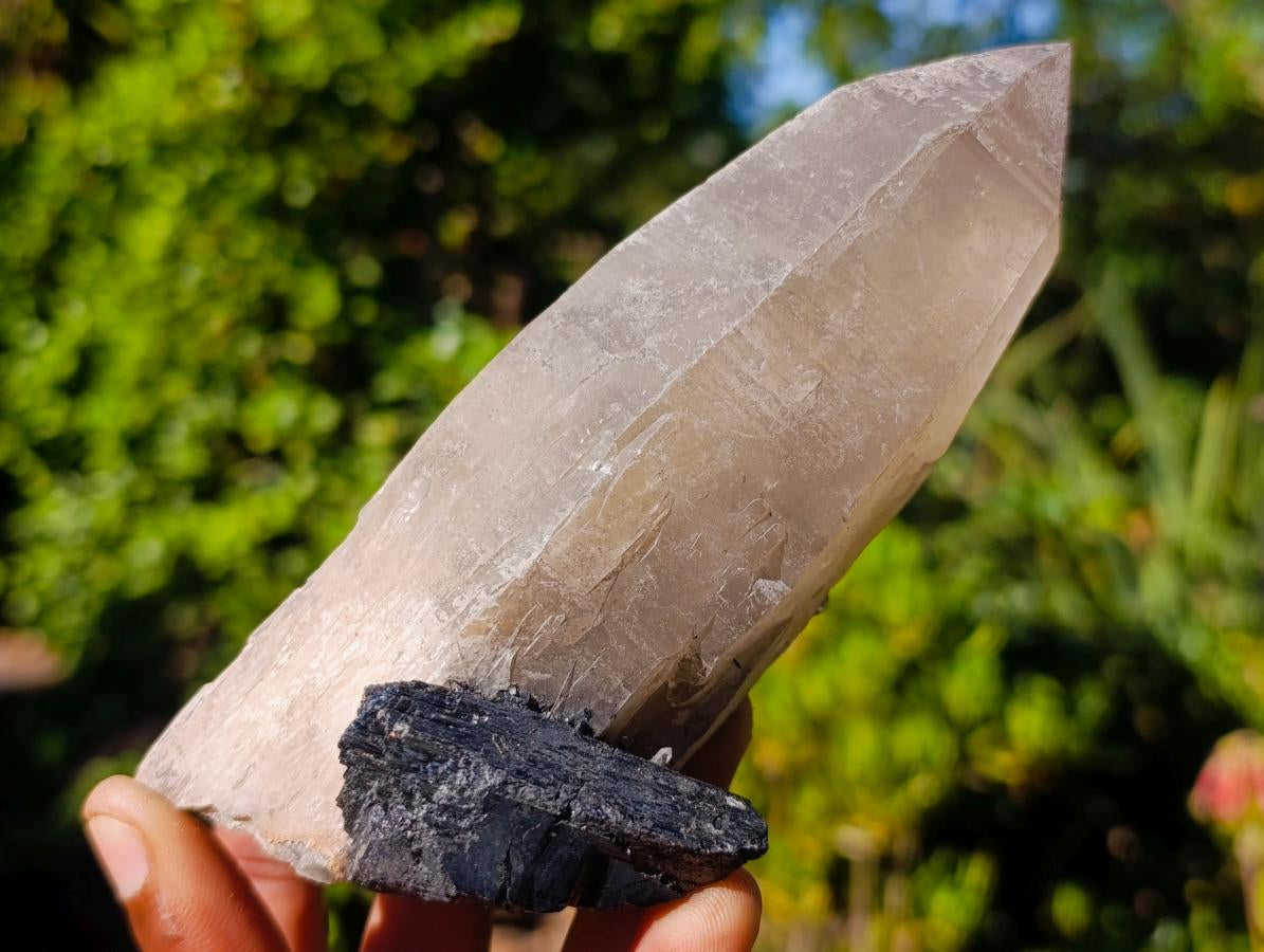 Natural Multi Mineral Specimens x 6 From Southern Africa - Toprock Gemstones and Minerals 