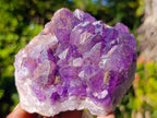 Natural Multi Mineral Specimens x 6 From Southern Africa - Toprock Gemstones and Minerals 