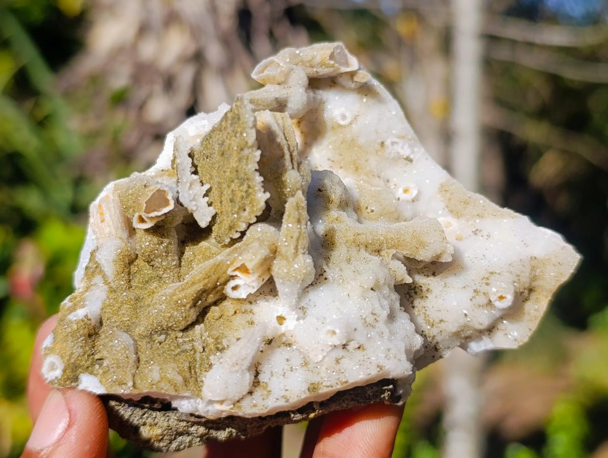 Natural Multi Mineral Specimens x 6 From Southern Africa - Toprock Gemstones and Minerals 