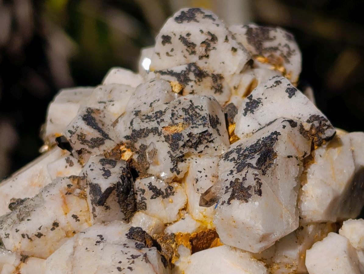 Natural Multi Mineral Specimens x 6 From Southern Africa - Toprock Gemstones and Minerals 