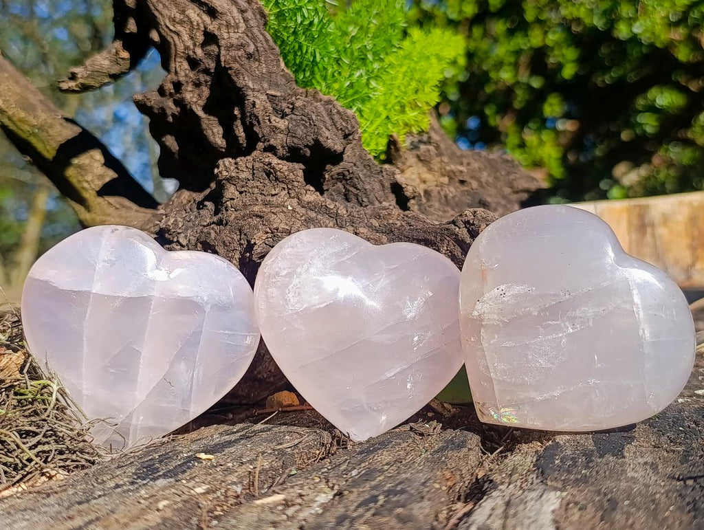Polished Gemmy Rose Quartz Hearts x 12 From Madagascar - Toprock Gemstones and Minerals 