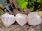 Polished Gemmy Rose Quartz Hearts x 12 From Madagascar - Toprock Gemstones and Minerals 