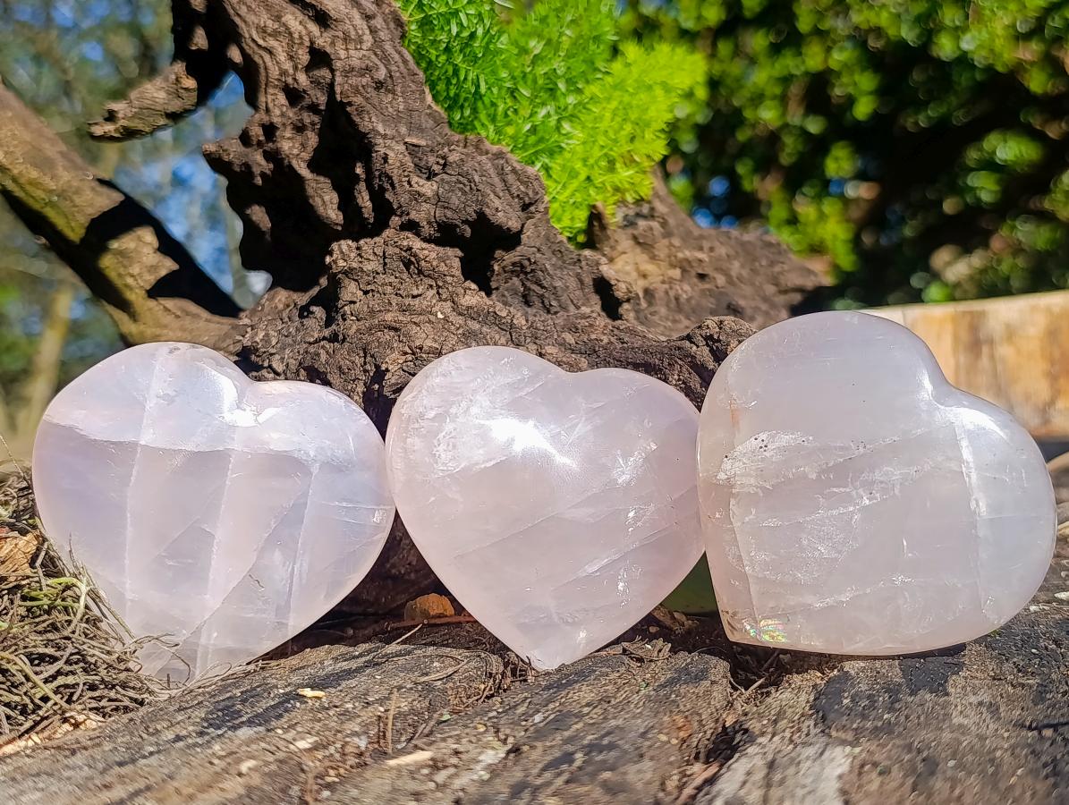 Polished Gemmy Rose Quartz Hearts x 12 From Madagascar - Toprock Gemstones and Minerals 