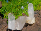 Natural Mini Malagasy Quartz Crystals and Clusters x 70 From Madagascar - Toprock Gemstones and Minerals 