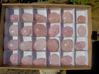 Polished Gemmy Rose Quartz Palm Stones x 24 From Madagascar - Toprock Gemstones and Minerals 
