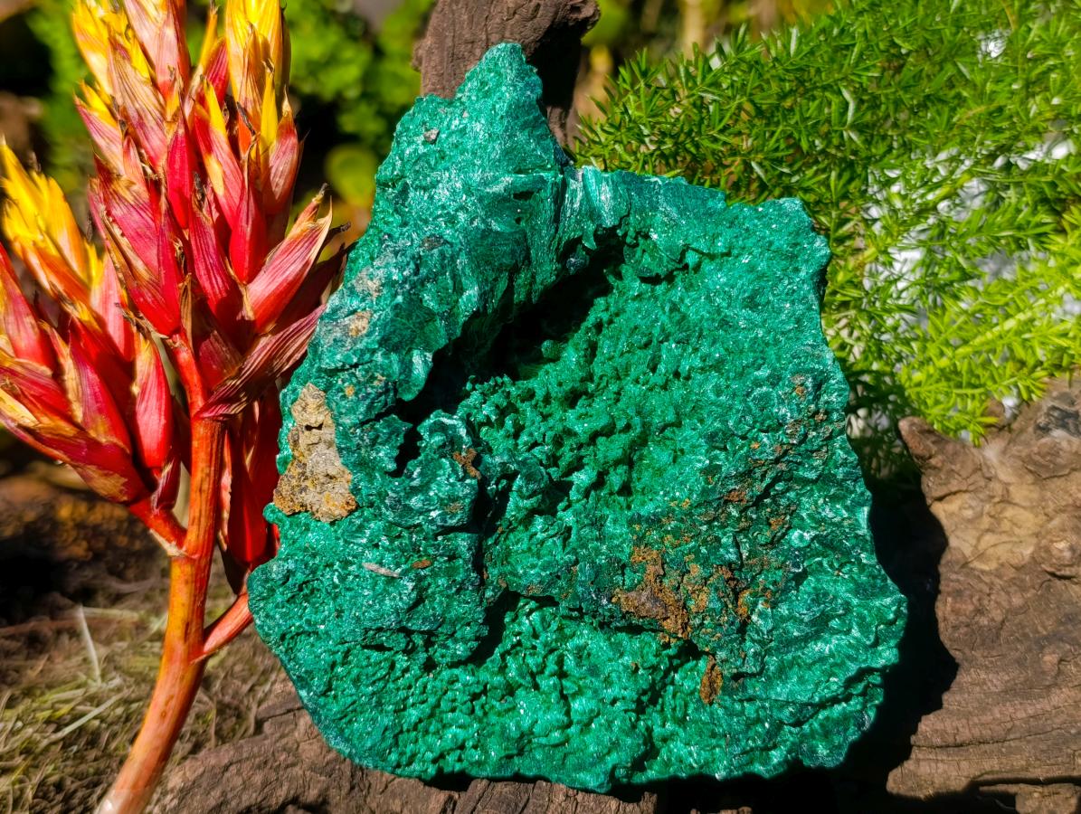 Natural Large Cabinet Silky Malachite Specimen x 1 From Kasompe, Congo - Toprock Gemstones and Minerals 
