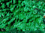 Natural Large Cabinet Silky Malachite Specimen x 1 From Kasompe, Congo - Toprock Gemstones and Minerals 