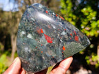 Polished Bloodstone Standing Display Pieces x 3 From Swaziland - Toprock Gemstones and Minerals 