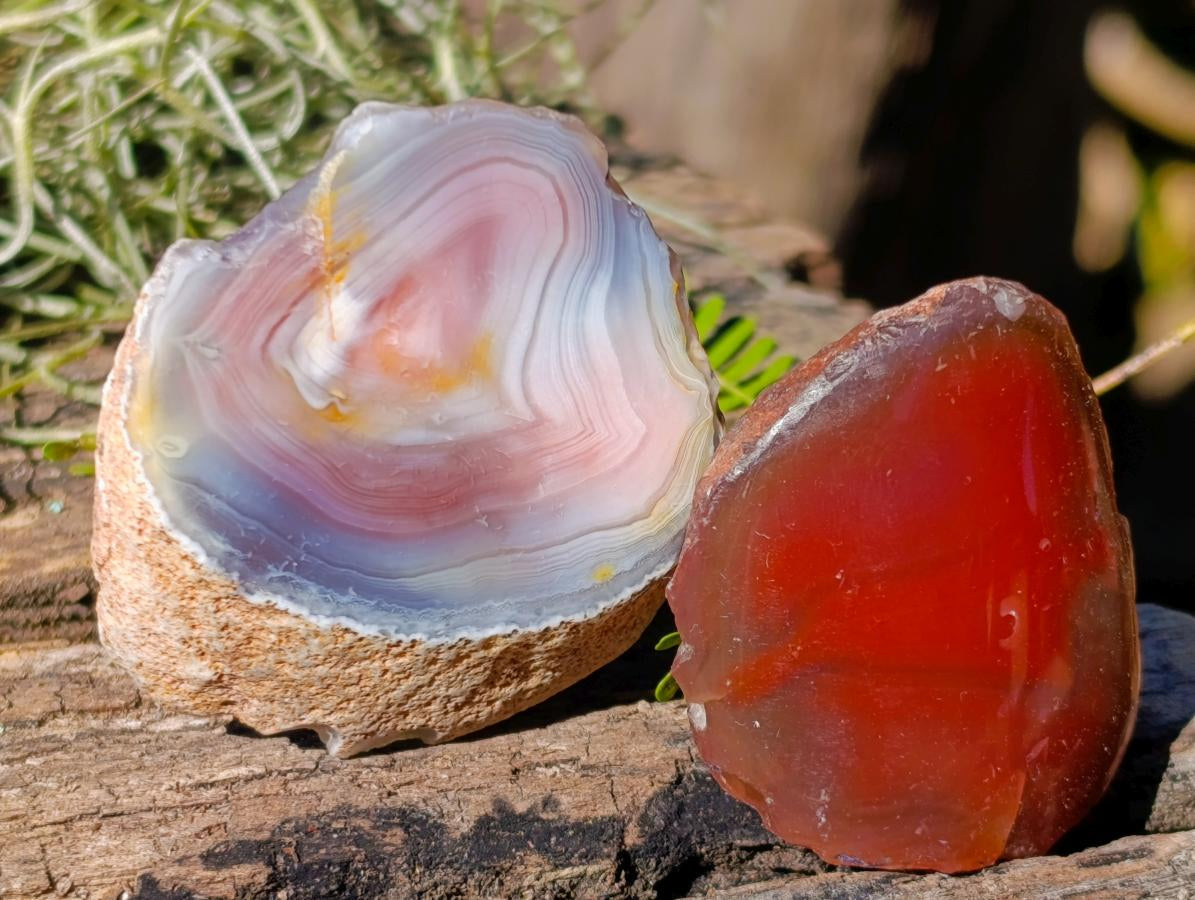 Polished One Side Red Shashe River Agate Nodules x 20 From Shashe River, Zimbabwe - Toprock Gemstones and Minerals 