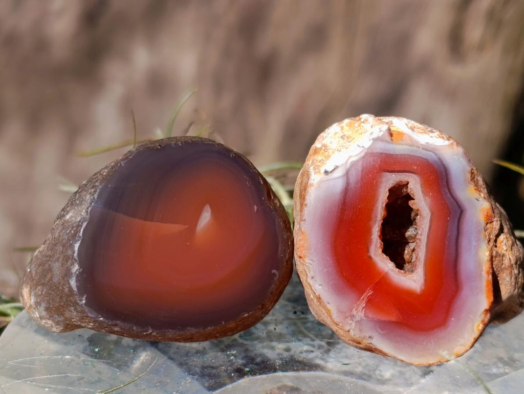Polished One Side Red Shashe River Agate Nodules x 20 From Shashe River, Zimbabwe - Toprock Gemstones and Minerals 