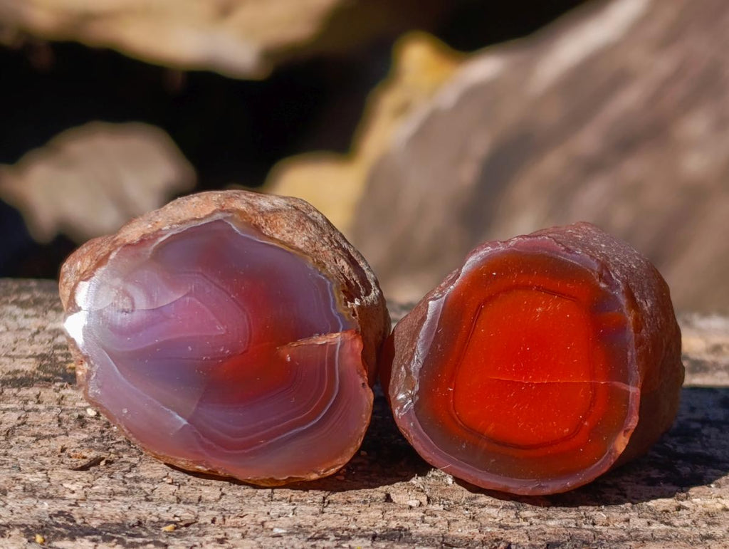Polished One Side Red Shashe River Agate Nodules x 20 From Shashe River, Zimbabwe - Toprock Gemstones and Minerals 