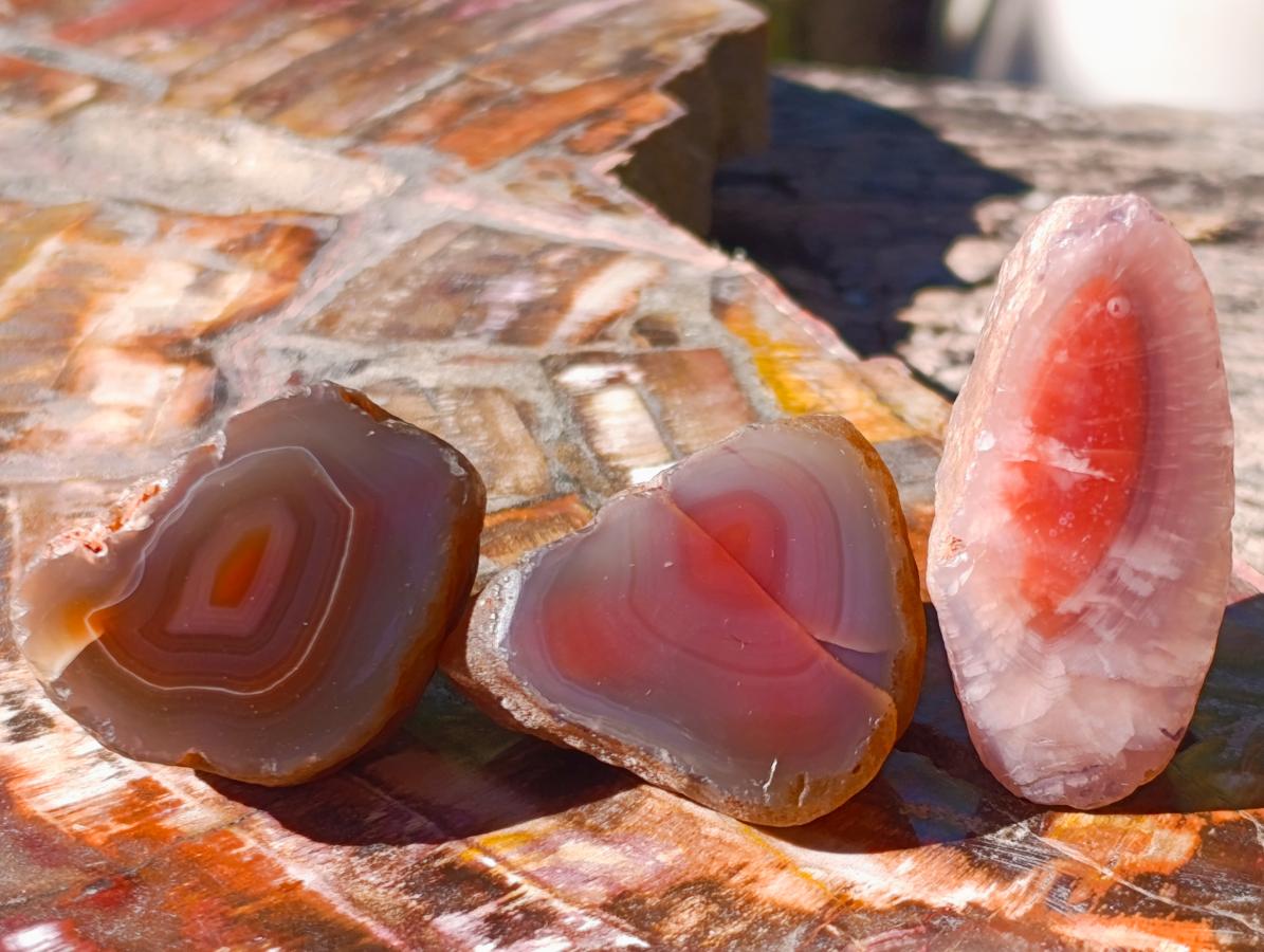 Polished One Side Red Shashe River Agate Nodules x 20 From Shashe River, Zimbabwe - Toprock Gemstones and Minerals 