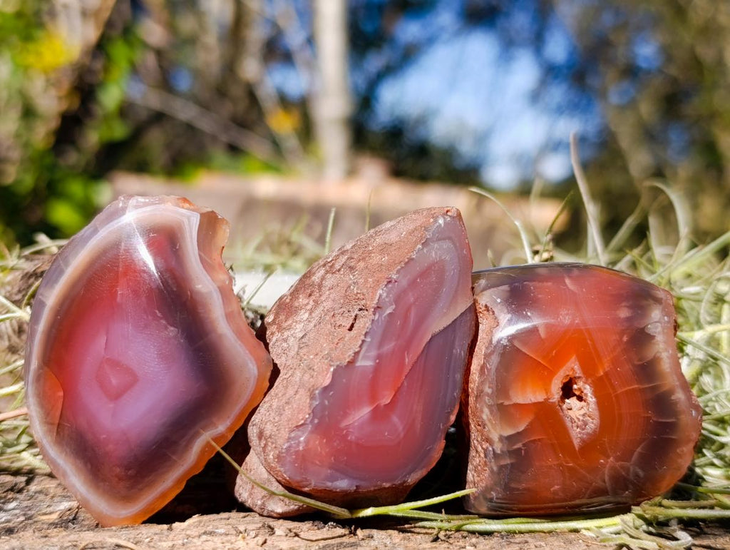 Polished One Side Red Shashe River Agate Nodules x 20 From Shashe River, Zimbabwe - Toprock Gemstones and Minerals 