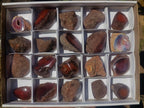 Polished One Side Red Shashe River Agate Nodules x 20 From Shashe River, Zimbabwe - Toprock Gemstones and Minerals 