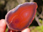 Polished One Side Red Shashe River Agate Nodules x 20 From Shashe River, Zimbabwe - Toprock Gemstones and Minerals 