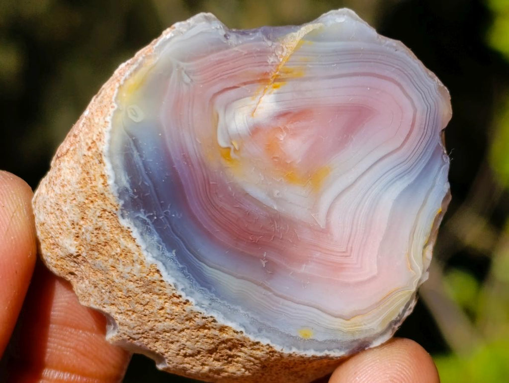 Polished One Side Red Shashe River Agate Nodules x 20 From Shashe River, Zimbabwe - Toprock Gemstones and Minerals 