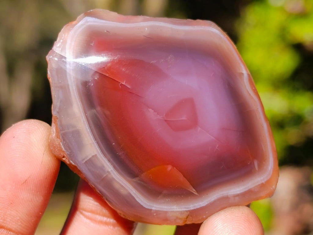 Polished One Side Red Shashe River Agate Nodules x 20 From Shashe River, Zimbabwe - Toprock Gemstones and Minerals 