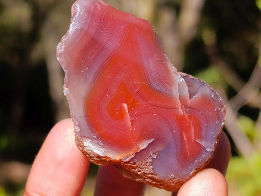Polished One Side Red Shashe River Agate Nodules x 20 From Shashe River, Zimbabwe - Toprock Gemstones and Minerals 