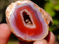 Polished One Side Red Shashe River Agate Nodules x 20 From Shashe River, Zimbabwe - Toprock Gemstones and Minerals 