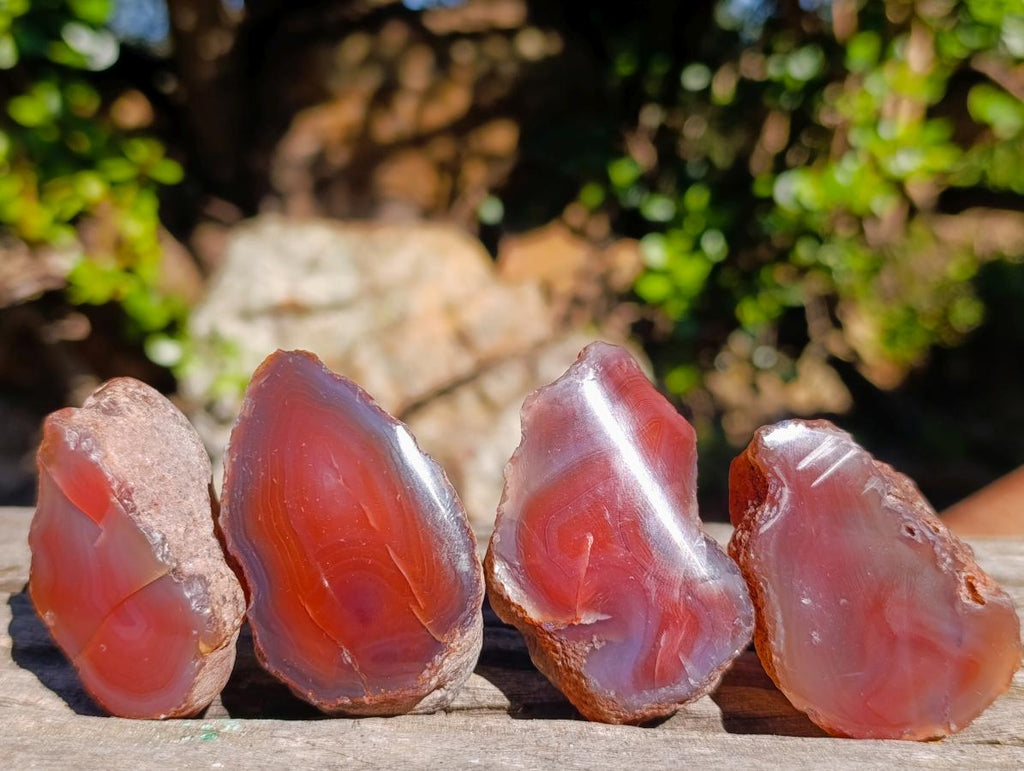 Polished One Side Red Shashe River Agate Nodules x 20 From Shashe River, Zimbabwe - Toprock Gemstones and Minerals 