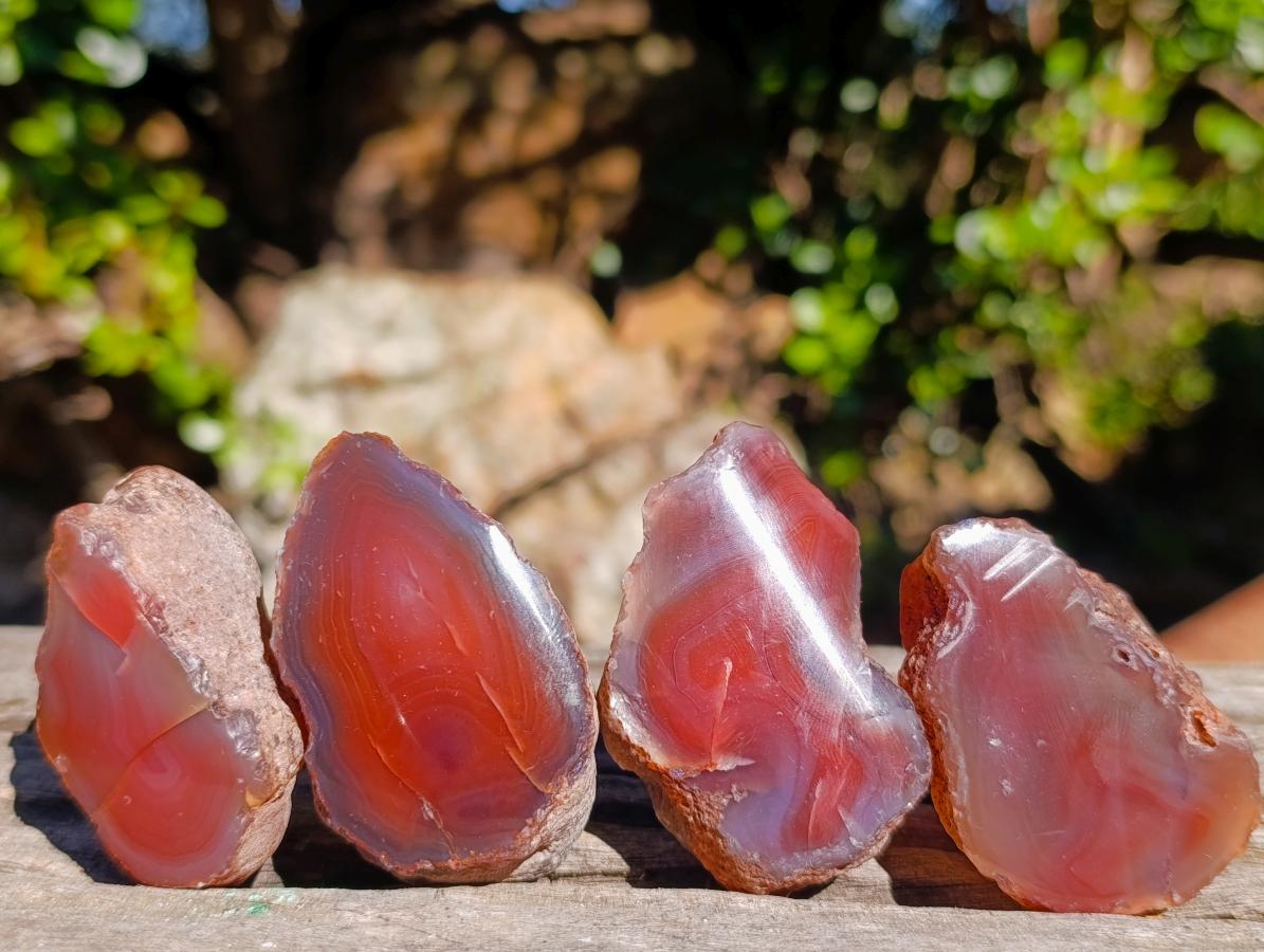 Polished One Side Red Shashe River Agate Nodules x 20 From Shashe River, Zimbabwe - Toprock Gemstones and Minerals 