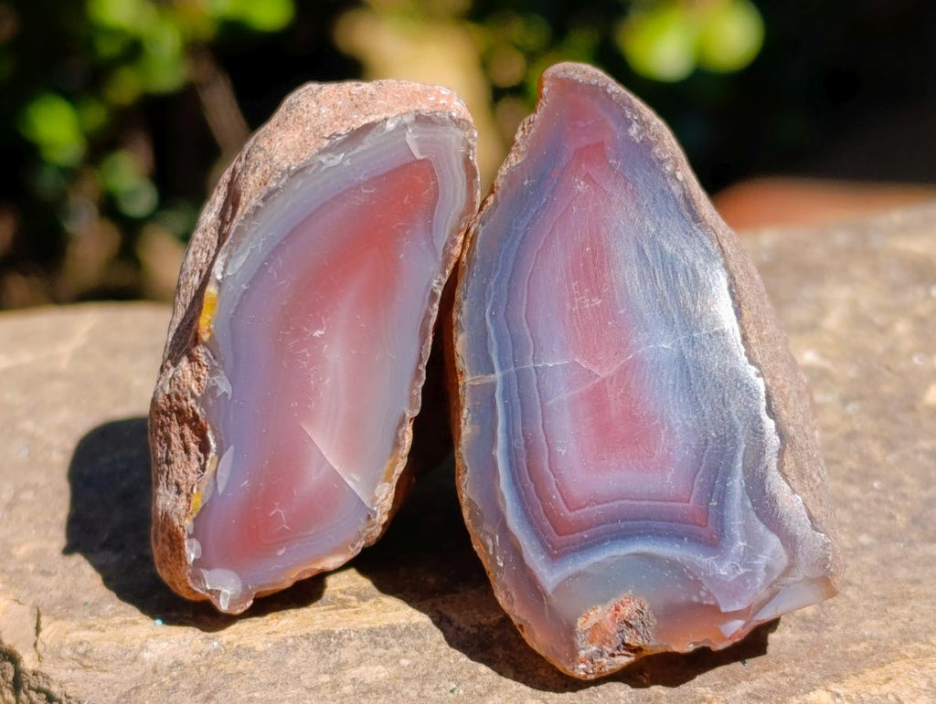 Polished One Side Red Shashe River Agate Nodules x 20 From Shashe River, Zimbabwe - Toprock Gemstones and Minerals 