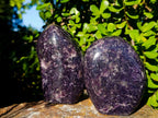 Polished Lepidolite Standing Display Pieces x 2 From Zimbabwe - Toprock Gemstones and Minerals 