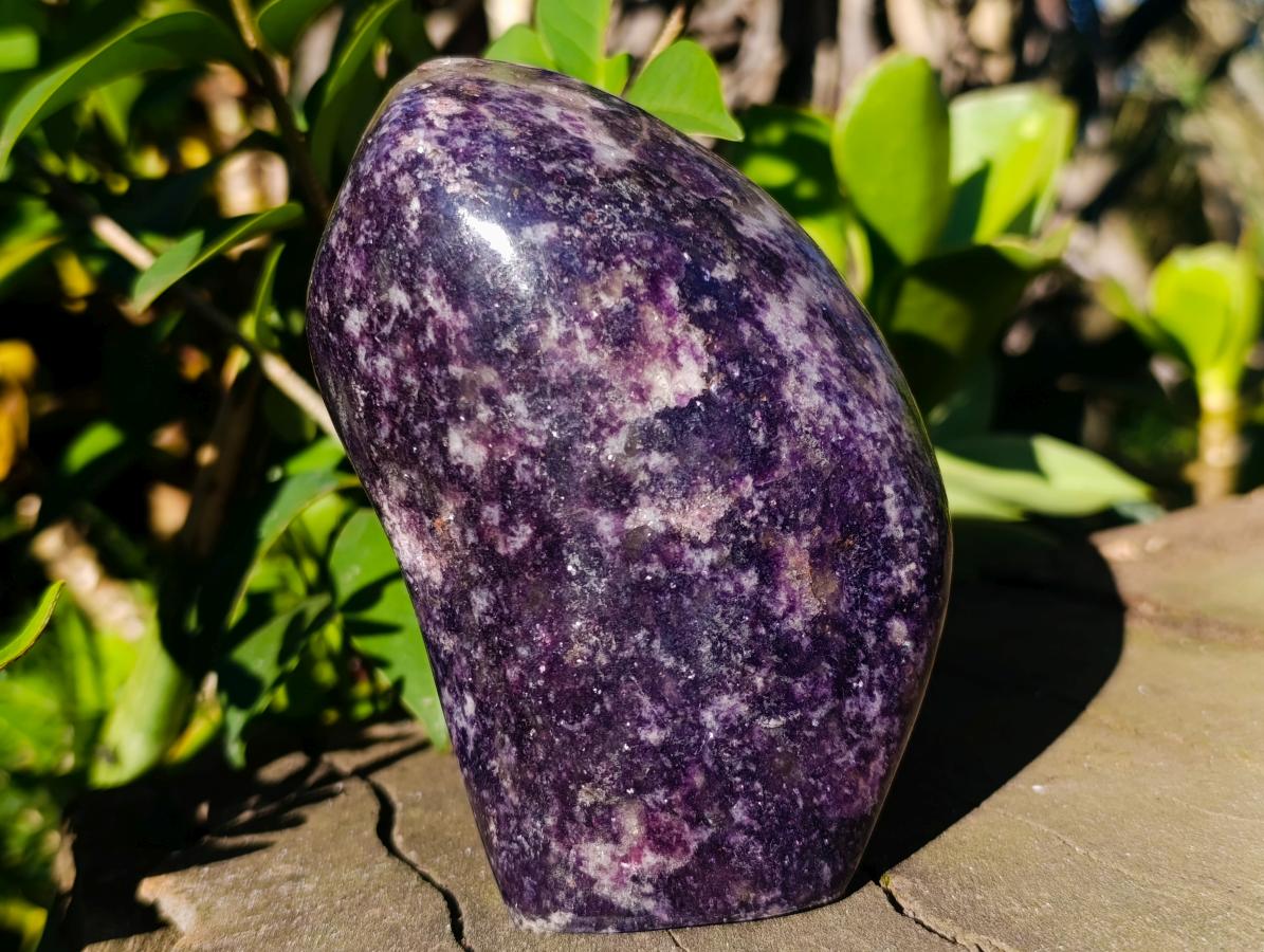 Polished Lepidolite Standing Display Pieces x 2 From Zimbabwe - Toprock Gemstones and Minerals 